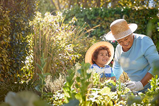 gardeners